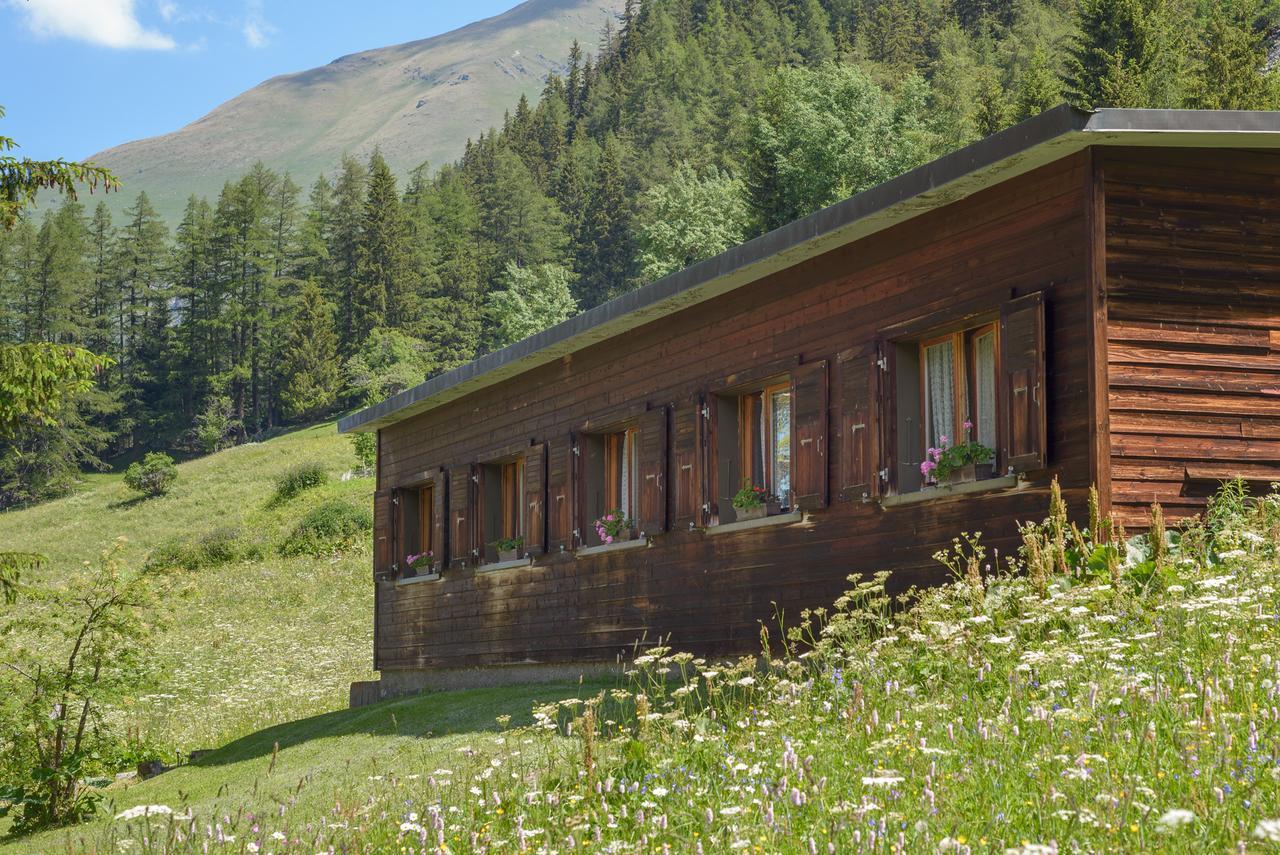 Au Bivouac De Napoleon Et Spa Hotel Bourg-Saint-Pierre Exterior foto